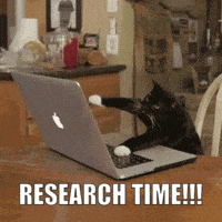 A cat typing furiously on a laptop, captioned RESEARCH TIME!!!