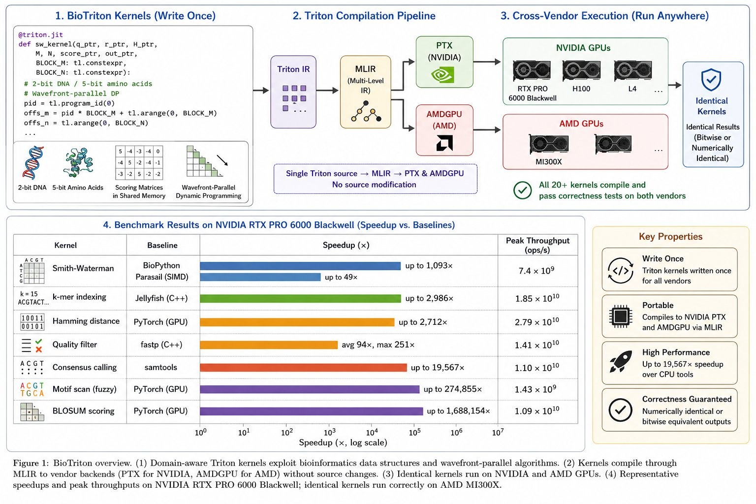 BioTriton overview: domain-aware Triton kernels for 2-bit DNA, 5-bit amino acids, scoring matrices, and wavefront-parallel dynamic programming compile through MLIR to PTX (NVIDIA) and AMDGPU (AMD) without source changes, run on both vendors, and achieve large speedups across Smith-Waterman, k-mer indexing, Hamming distance, quality filtering, consensus calling, motif scan, and BLOSUM scoring.